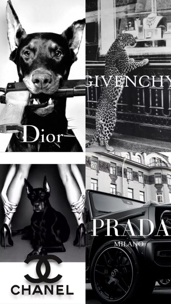 Fashion brands montage: Dior dog, Givenchy leopard, Chanel dog, and Prada car, showcasing luxury and style icons.
