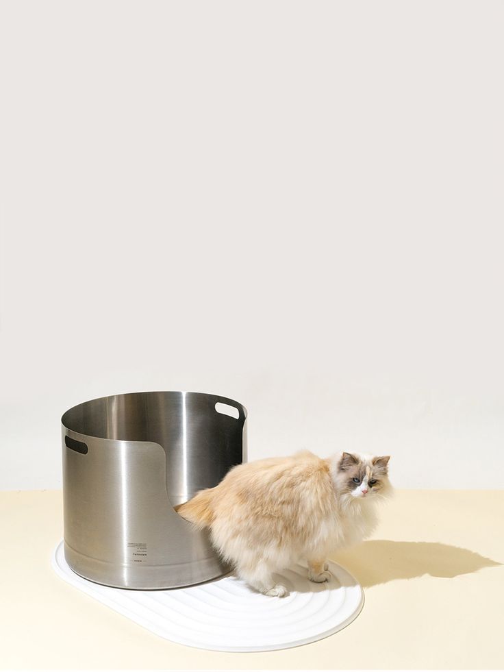 Fluffy cat beside a large stainless steel container on a white mat, against a neutral background.