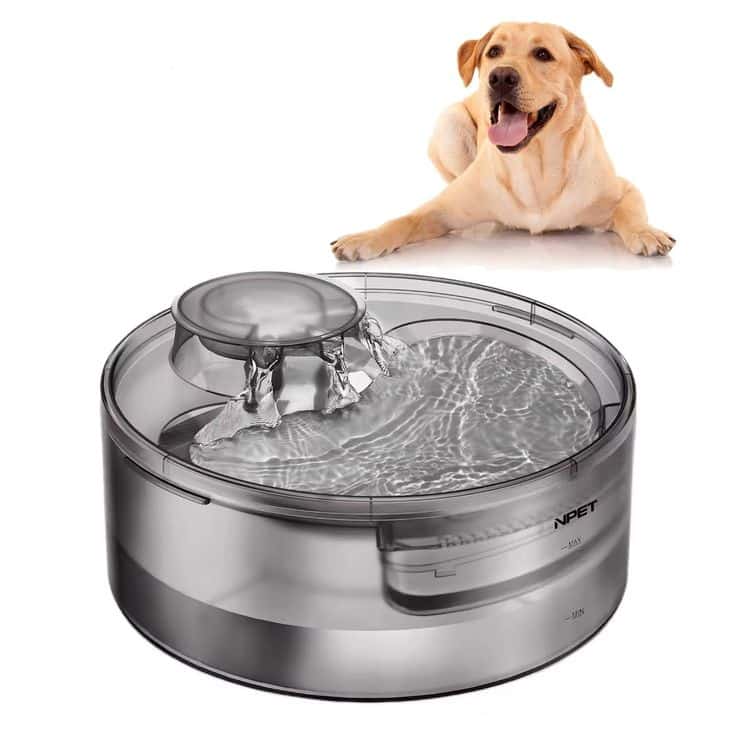 Dog sitting beside a modern pet water fountain with cascading water. Suitable for pet hydration.