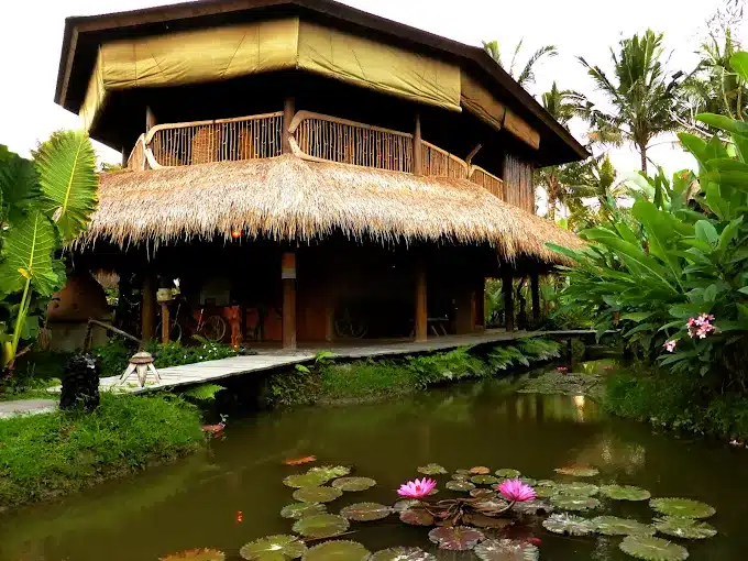 Tropical eco-lodge with thatched roof surrounded by lush greenery and a pond with blooming water lilies.