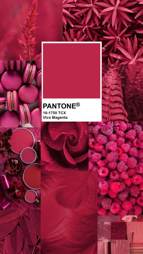 Collage with Pantone's Viva Magenta 18-1750, featuring flowers, raspberries, macarons, and textures.