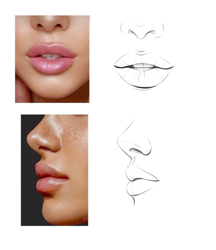Pencil drawing lips and nose | Sky Rye Design