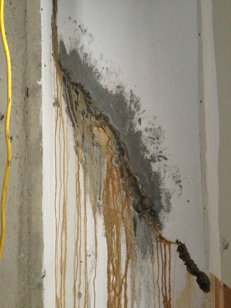 Poured concrete basement wall crack and leaking in Saline MI - polyurethane and epoxy injection to stop water for good Wall with severe water damage and mold growth, causing brown stains and cracked plaster. | Sky Rye Design Wall with severe water damage and mold growth, causing brown stains and cracked plaster.