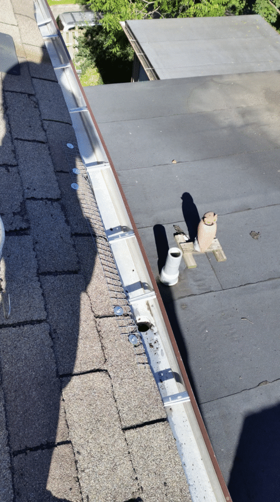 Rooftop gutter system with mesh guard and shingles, featuring a rooftop vent and decorative owl.
