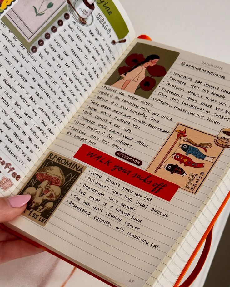 Handwritten journal page with colorful illustrations and wellness tips detailing health myths and facts.