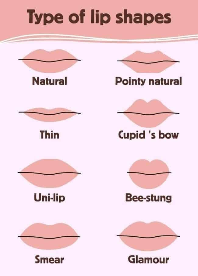 TYPES OF LIP SHAPES | Sky Rye Design