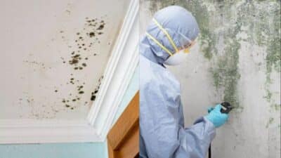 Professional inspecting and removing mold on ceiling and wall, wearing protective gear. Home mold remediation process.