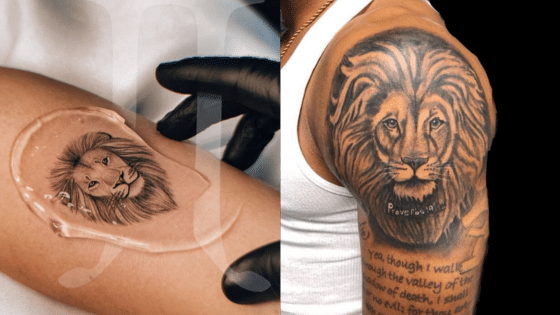 Viewing Deck Blog | Sky Rye Design