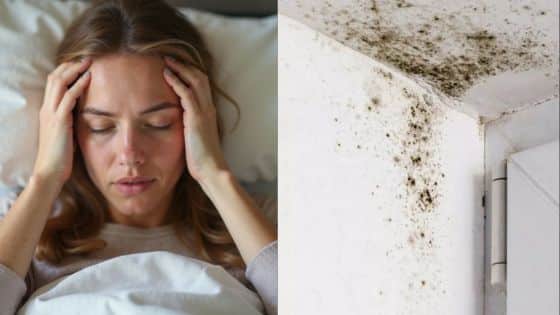 Woman feeling unwell in bed; mold on ceiling corner.