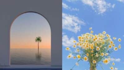 Minimalist scenes: lone palm tree at sunset through an arch; daisies bloom against a bright blue sky with clouds.