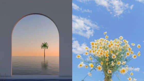 Viewing Deck Blog - 2025-08-04T202550032 Minimalist scenes: lone palm tree at sunset through an arch; daisies bloom against a bright blue sky with clouds. | Sky Rye Design Minimalist scenes: lone palm tree at sunset through an arch; daisies bloom against a bright blue sky with clouds.