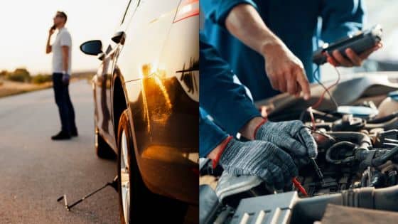 Viewing Deck Blog - 2025-08-09T022009773 | Sky Rye Design