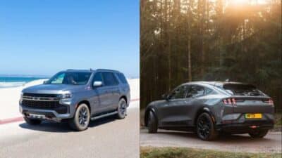 Silver SUV near beach and gray car parked in the forest at sunset.
