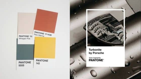 Pantone color cards and Porsche Turbo badge. Colors: Whisper Pink, Raw Sienna, 5555, 142. Inspired by Pantone.