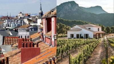 City rooftops and countryside vineyard with house, showcasing urban and rural contrast.
