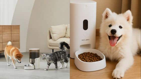 Automatic pet feeder with happy dog and curious cat in modern living room. Perfect for convenient pet care and feeding.