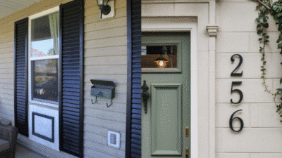 Front porch with black shutters and mailbox, adjacent to a green door marked 256, surrounded by light siding and ivy.