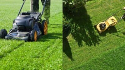 Two lawn mowers cutting lush green grass, demonstrating efficient lawn care techniques from different angles.
