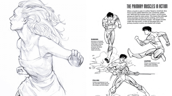 Sketch of a person running and illustrations of primary muscles in action during running, leaping, and pulling.