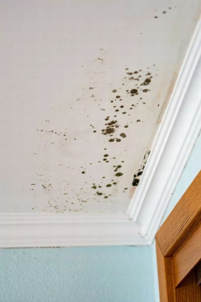 Ceiling with black mold forming near the corner, indicating moisture issues and potential health risks.