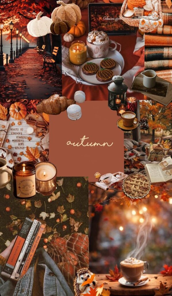 autumn mood 🧡 | Sky Rye Design