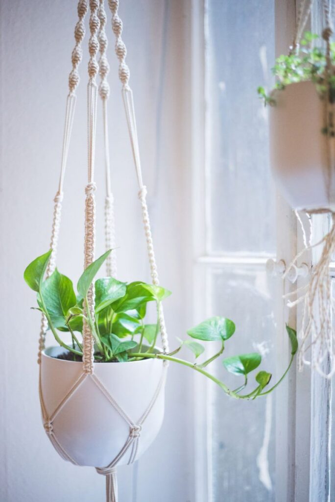 Macrame plant hanger with green indoor plant by a sunlit window. Stylish home decor for cozy spaces.