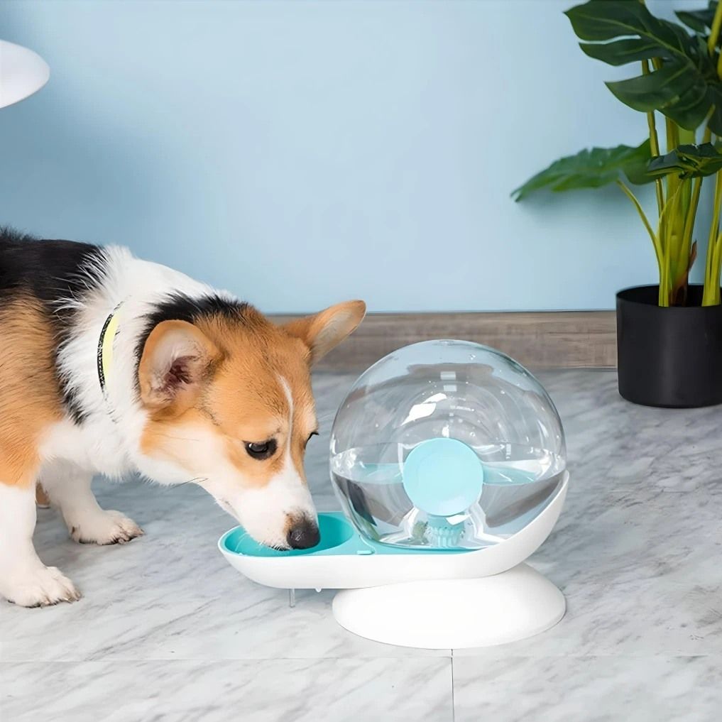 c12290d46c609948b36b504945c70d92 Corgi drinking from a modern pet water dispenser with a clear globe design on a marble floor. | Sky Rye Design Corgi drinking from a modern pet water dispenser with a clear globe design on a marble floor.