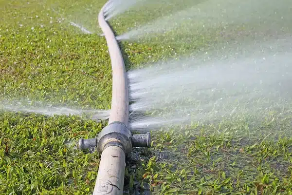 Water hose leaking on green grass, spraying water across lawn, close-up.