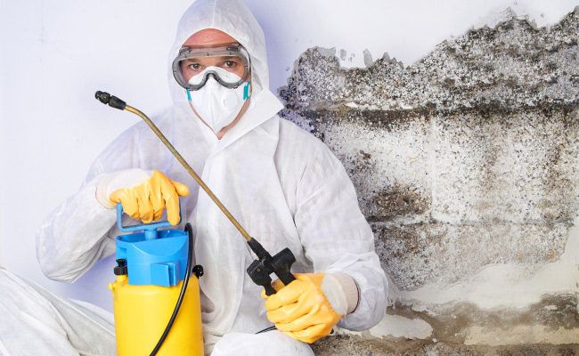 Mold removal expert in protective gear, using a spray pump to treat mold on a wall.