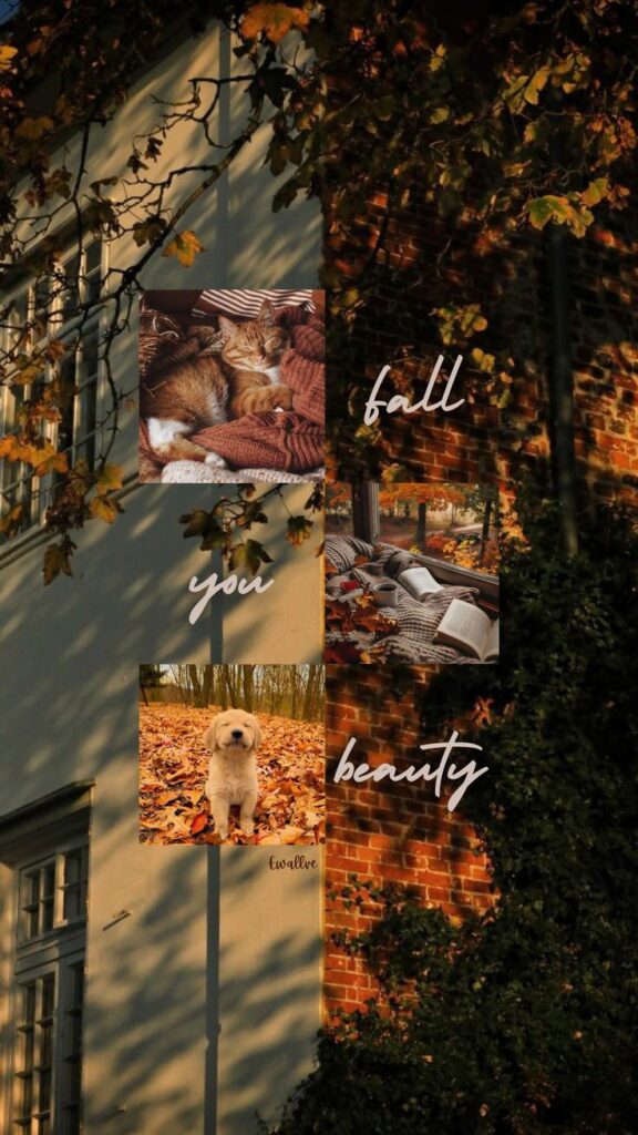 fall 🍁 | Sky Rye Design