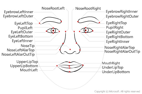 Detailed facial landmarks illustration with labels, showing key points like eyes, nose, and mouth for facial recognition.