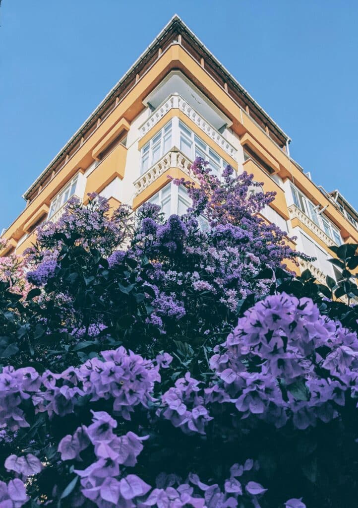 Corner view of a yellow building with purple flowers in the foreground, under a clear blue sky.