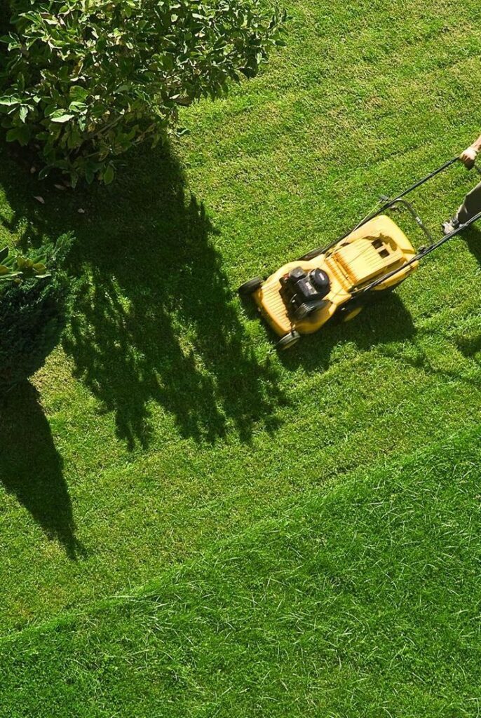 Person mowing green lawn with a yellow lawnmower, surrounded by lush shrubs and trees. Perfectly trimmed grass.