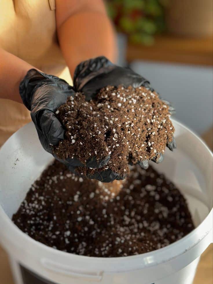 Hands in black gloves holding potting soil with perlite over a white bucket.