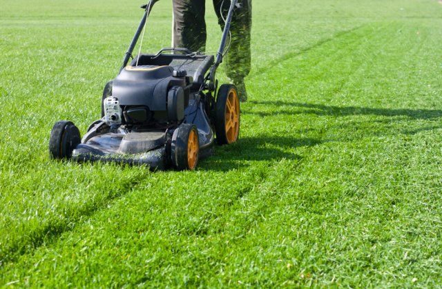 Person mowing green grass with a lawnmower on a sunny day, creating neat stripes on a well-maintained lawn.