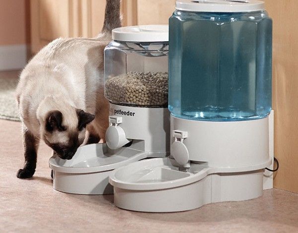 Cat eating from automatic pet feeder with food and water dispensers.