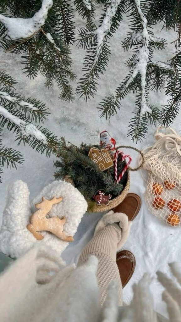 Cozy winter scene with boots in snow, basket of festive cookies, candy canes, and oranges; snow-dusted evergreen branches.