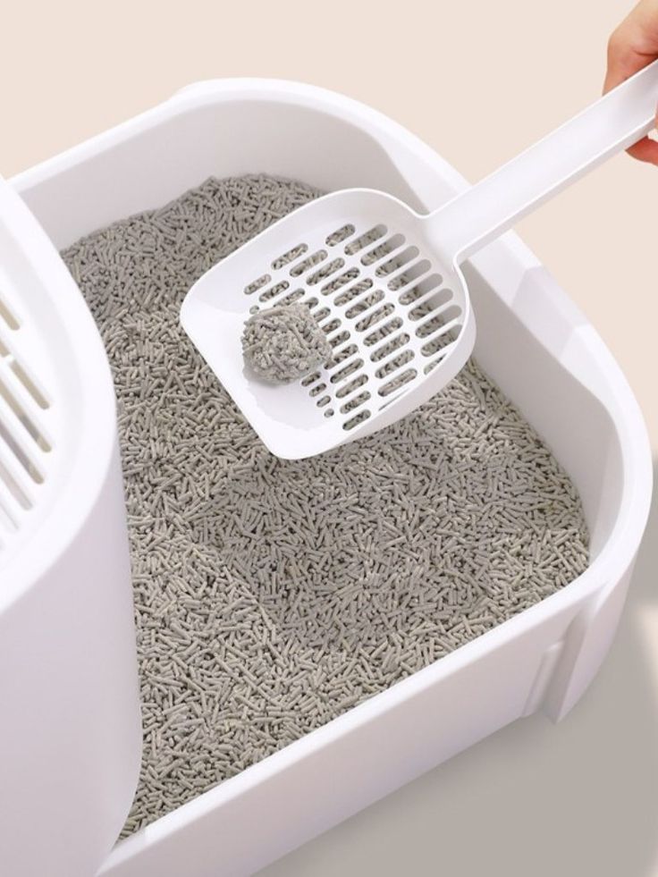 Scoop cleaning a litter box filled with clumping cat litter for hygiene and pet care.