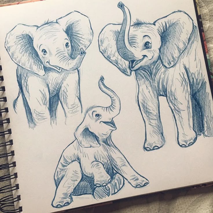 Sketch of playful baby elephants in various poses, drawn in blue pencil, on a sketchbook page.