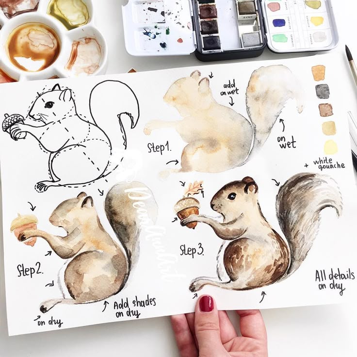 Step-by-step watercolor squirrel tutorial with paint palette and brushes.