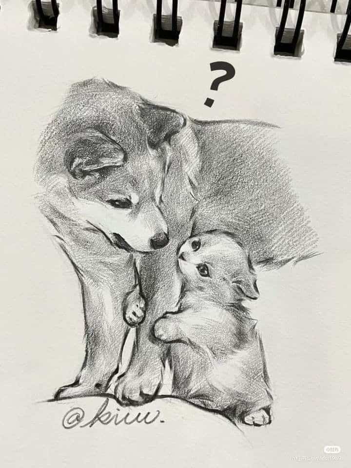 Pencil sketch of a puzzled dog looking at a curious kitten by its leg, question mark above them.