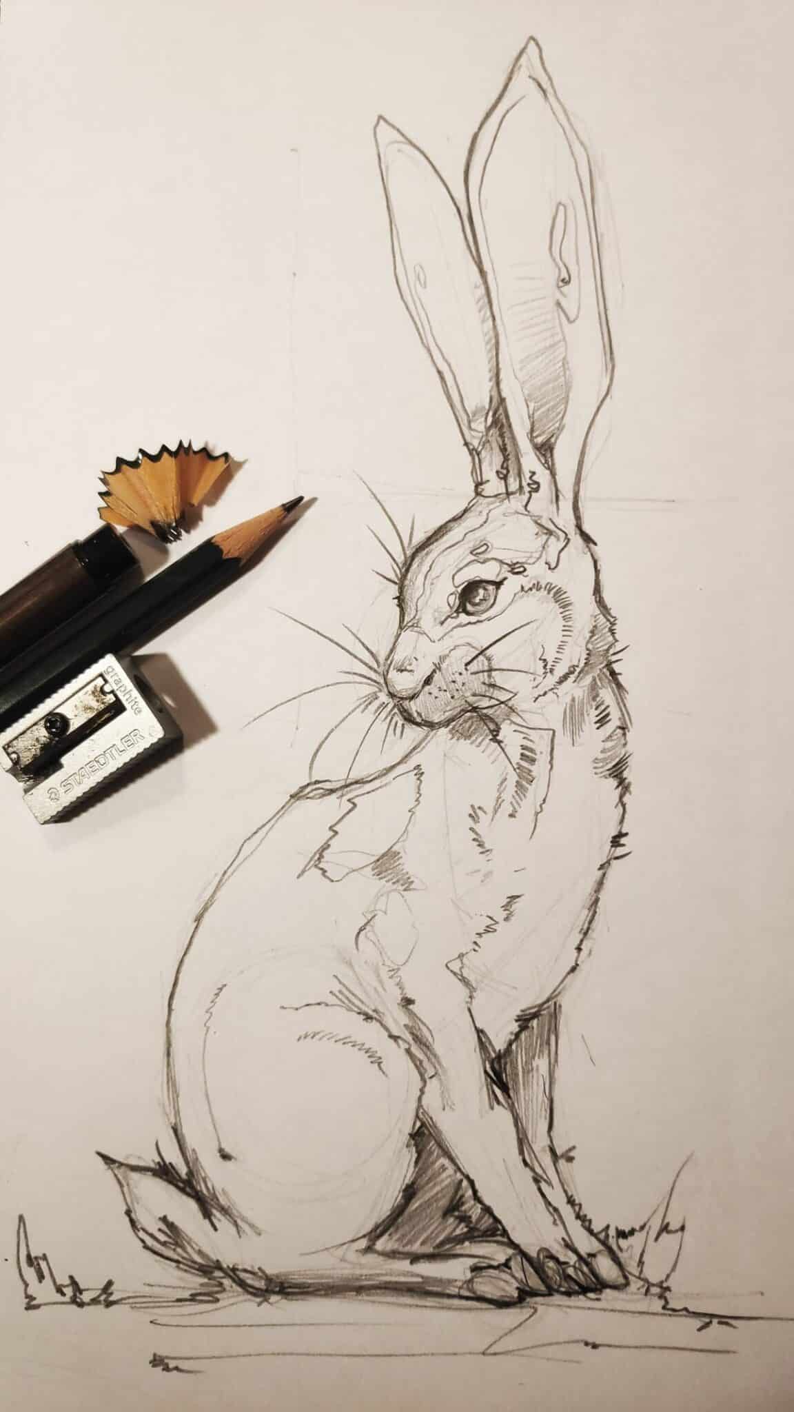 Animal Drawing Ideas for Fun and Creative Sketching Sessions
