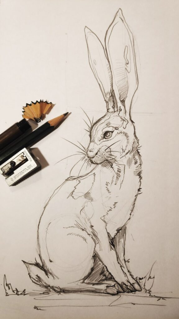 Sketch of a rabbit with pencils and sharpener, showcasing artistic drawing tools on paper.