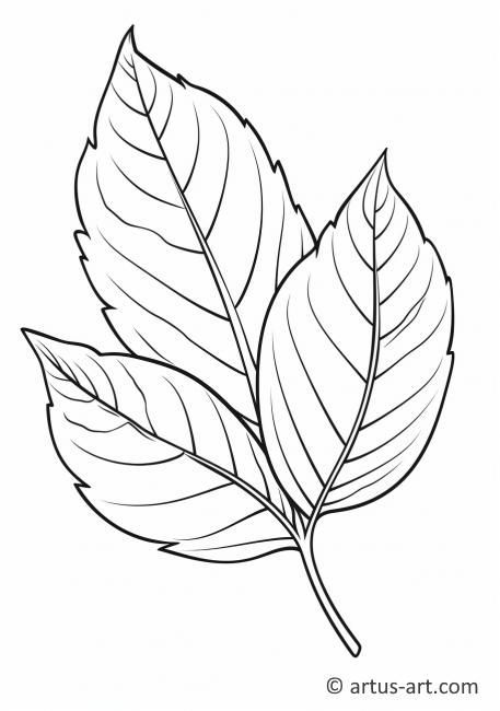 Line art of three overlapping leaves with detailed veins, suitable for coloring pages or botanical illustrations.