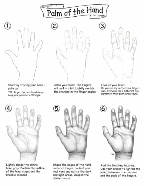 Step-by-step guide to drawing a realistic palm with tracing, shading, and detail enhancement techniques. Perfect for artists.