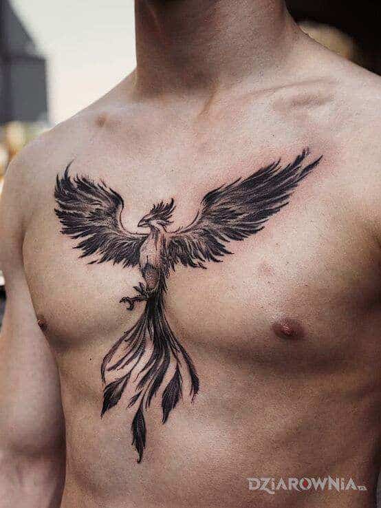 Phoenix tattoo on man's chest, wings spread, symbolizing rebirth and strength. Detailed black ink design.