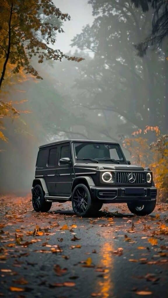 Black SUV on a misty autumn road surrounded by falling leaves and trees.