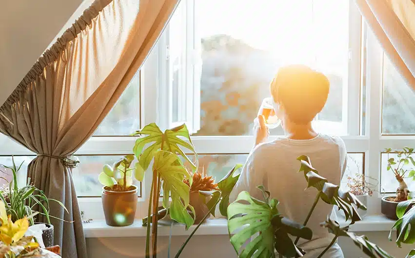 Person enjoying a drink by a sunny window, surrounded by lush indoor plants.