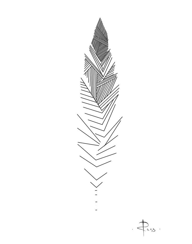 Geometric feather illustration with abstract linear patterns on white background. Minimalist design art.
