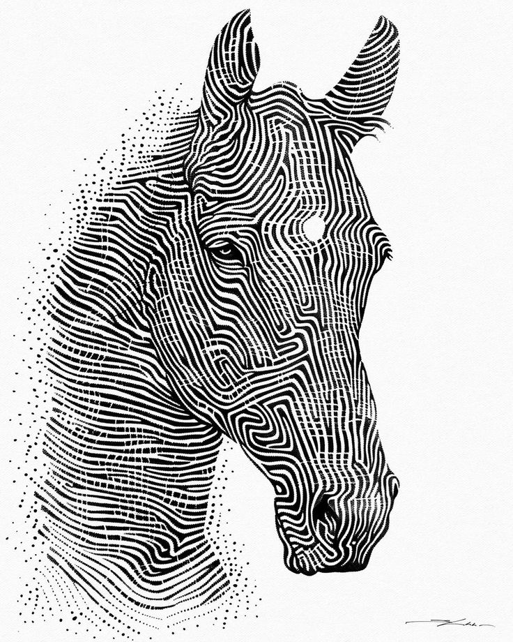 Abstract black and white horse illustration with intricate line patterns and dots forming the horse's silhouette.